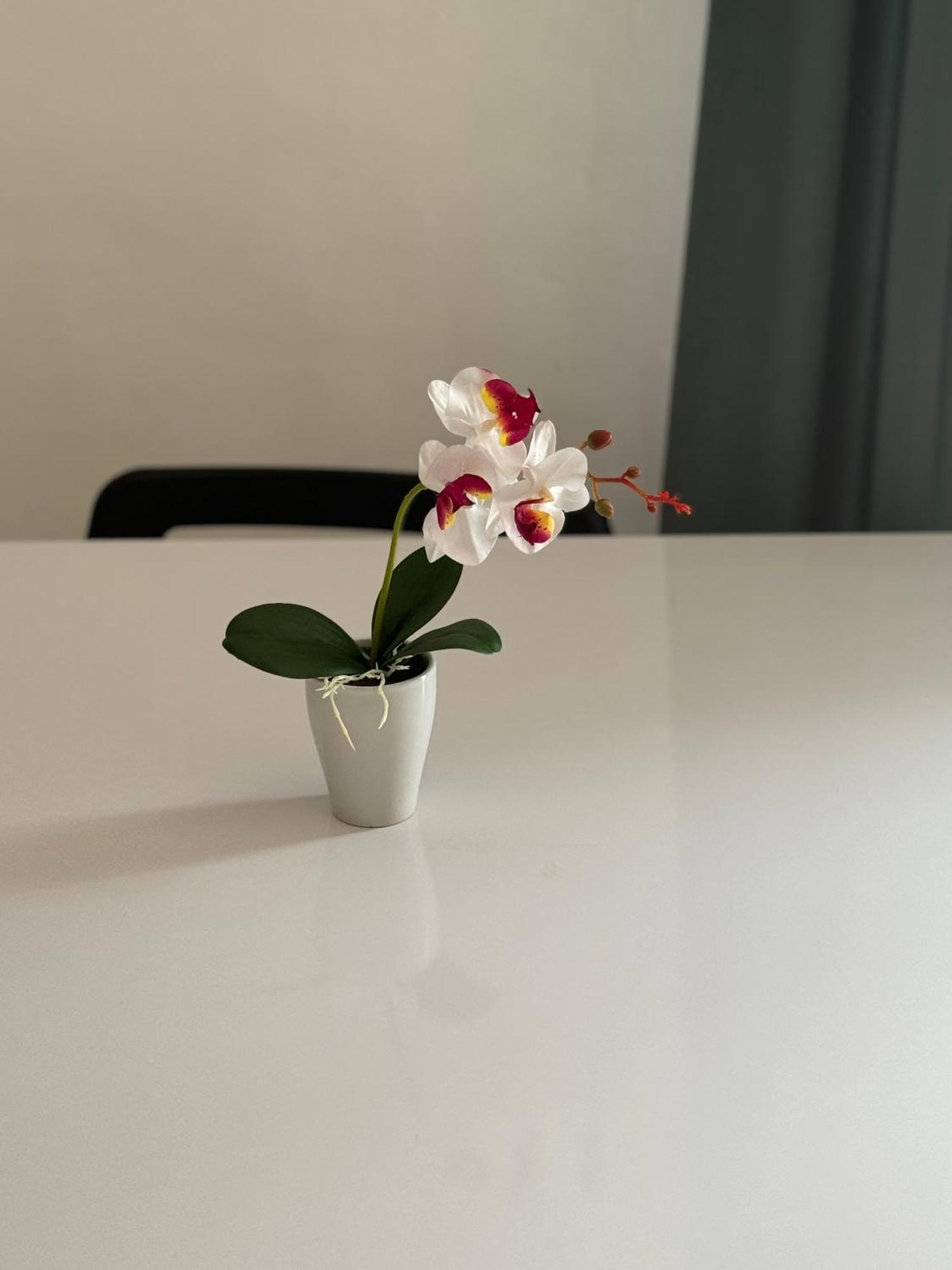 Natura In Centro Apartment Turin