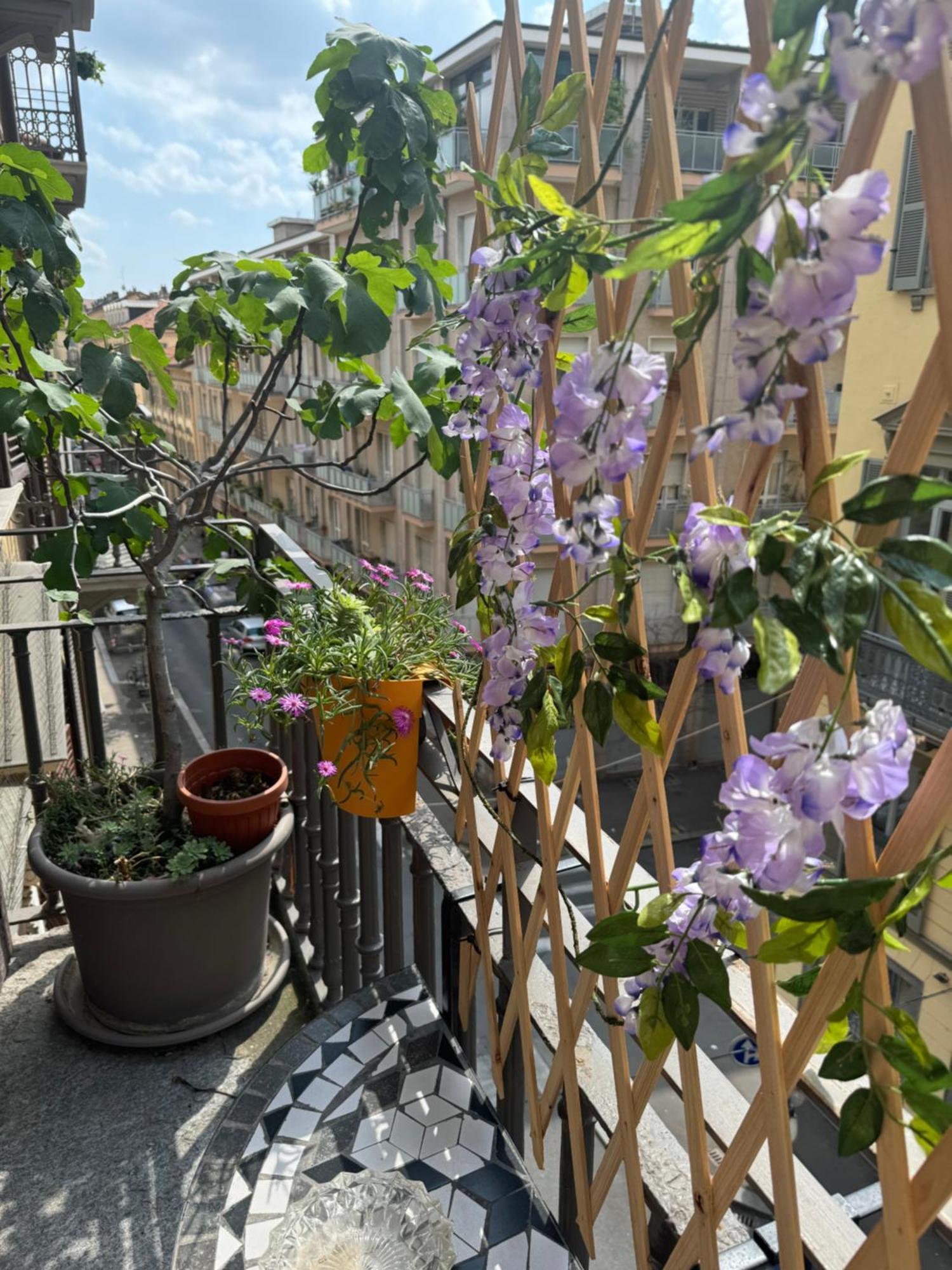 Natura In Centro