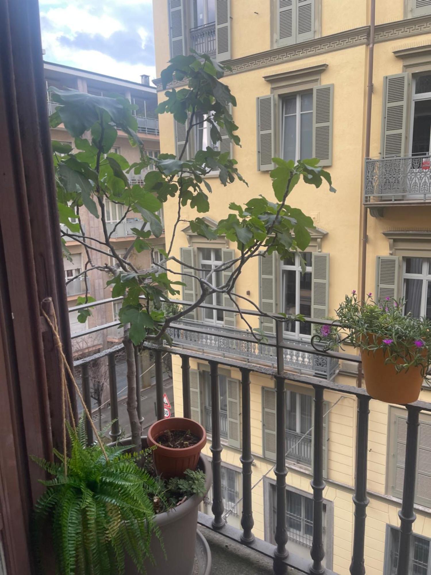 Natura In Centro * Turin